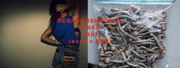 соль ск Алексеевка