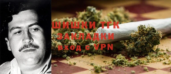 крисы Алзамай