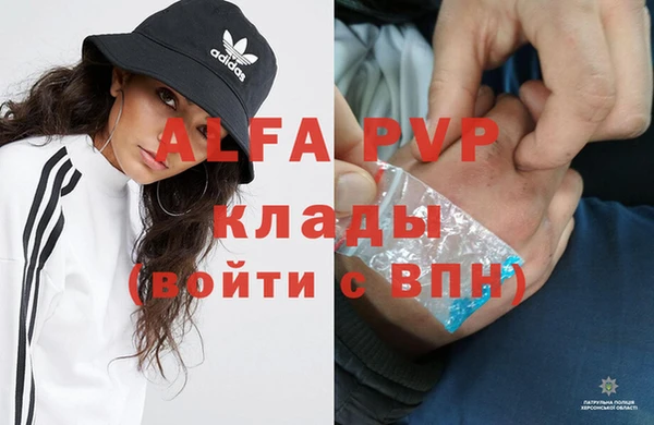 крисы Алзамай