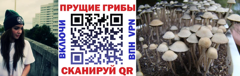Галлюциногенные грибы мухоморы  где найти наркотики  KRAKEN ТОР  Удачный 